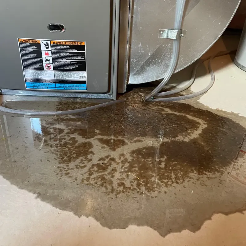 Appliance Leak Cleanup in Porter, IN